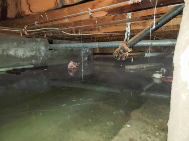 Best Residential water damage restoration  in Cashion, OK