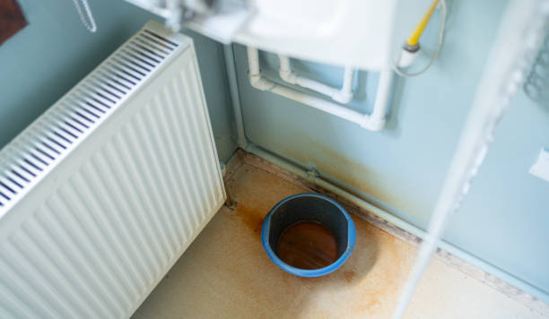 Best Ceiling water damage repair  in Cashion, OK