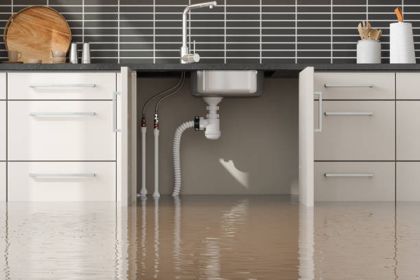 Best Basement water damage restoration  in Cashion, OK
